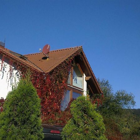 Ferienhaus Am Loeffelberghuettchen Gießübel المظهر الخارجي الصورة
